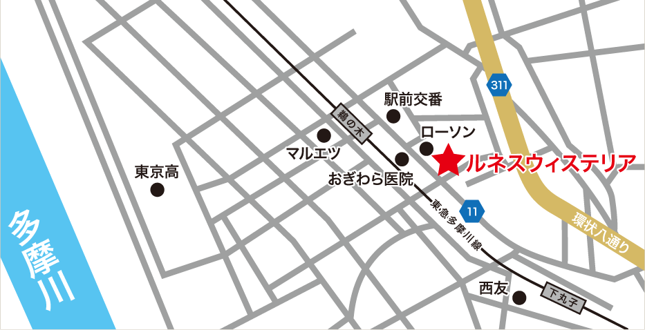 P[Vn}